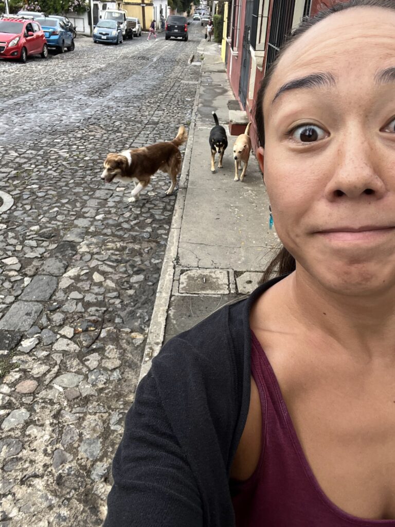 A selfie of a woman with three stray dogs following her along a sidewalk.